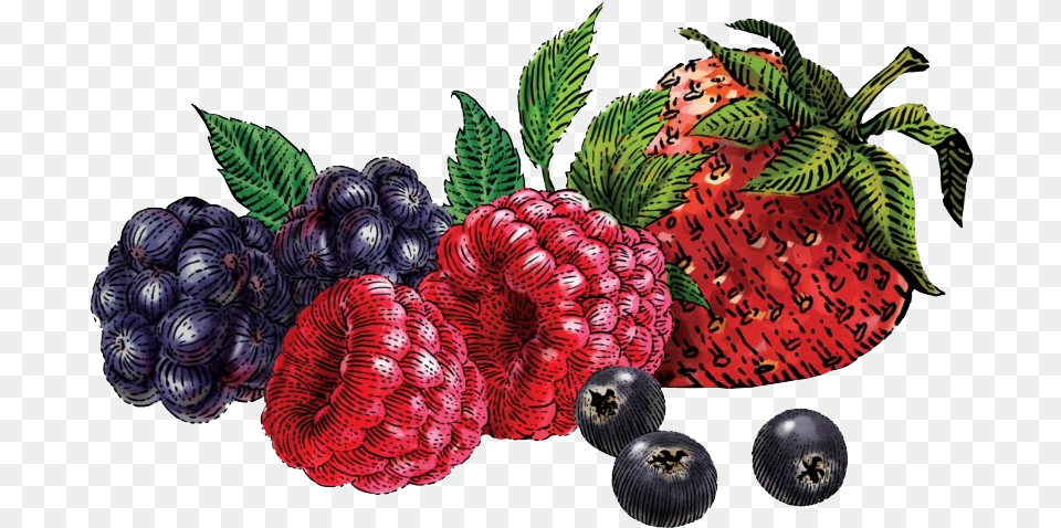 Berries Siggis Yogurt Mixed Berry, Blueberry, Food, Fruit, Plant Free Png Download
