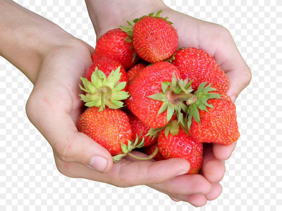 Berry Clip Free Transparent Png