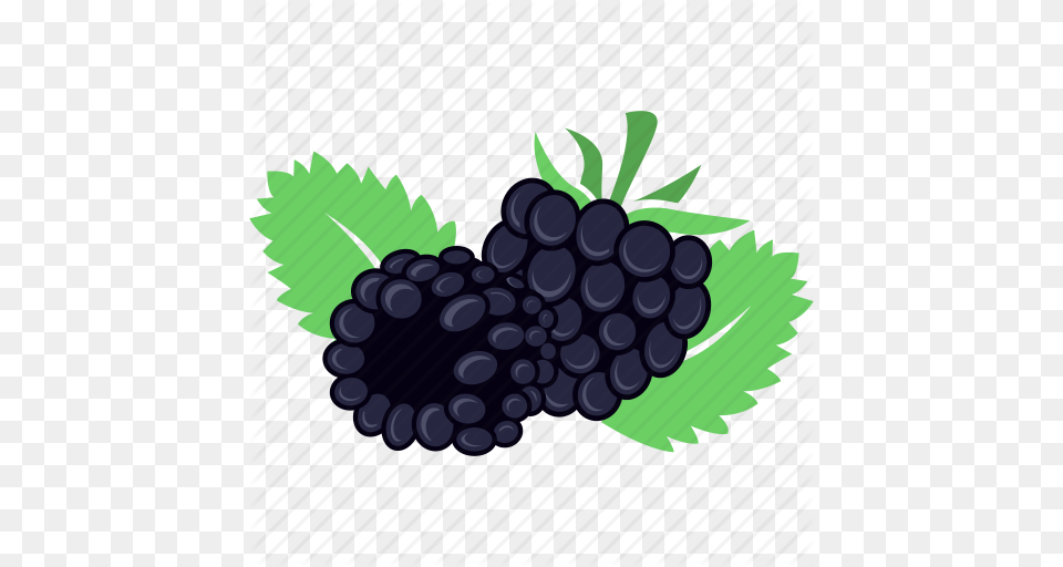 Berry Blackberry Fruit Fruits Icon, Food, Grapes, Plant, Produce Free Png