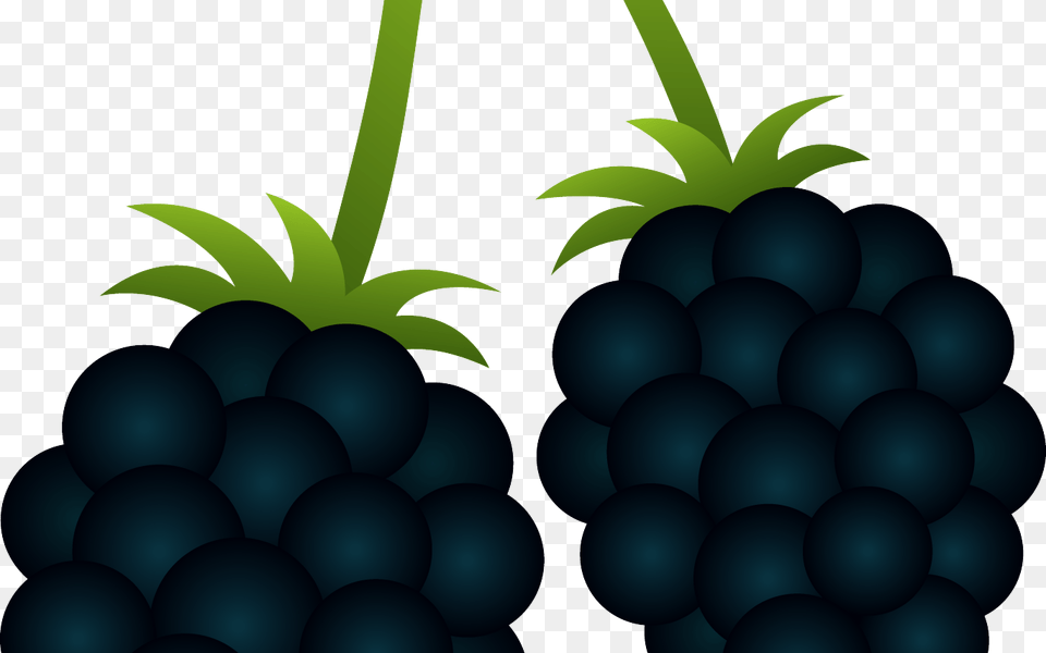 Berry Clipart Clipart Blackberry, Food, Fruit, Plant, Produce Free Transparent Png