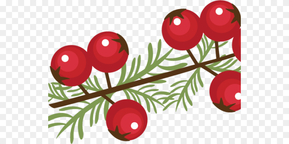 Berry Clipart Winter Christmas Berries, Conifer, Plant, Tree, Food Free Png