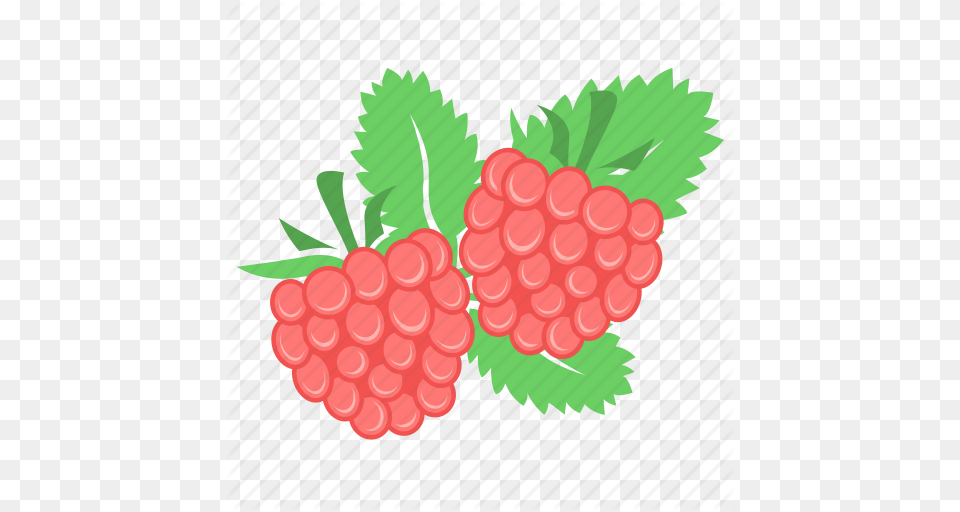 Berry Food Fruit Raspberries Raspberry Icon, Plant, Produce, Dynamite, Weapon Free Png