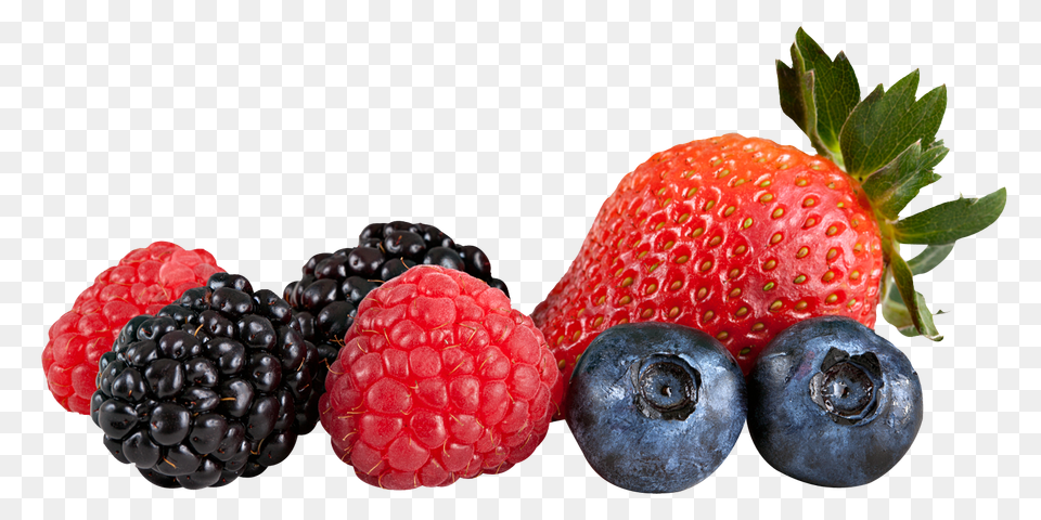 Berry Mix, Blueberry, Food, Fruit, Plant Free Transparent Png