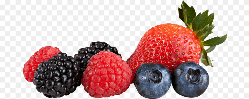 Berry Mix Images Mixed Berry, Blueberry, Food, Fruit, Plant Free Transparent Png