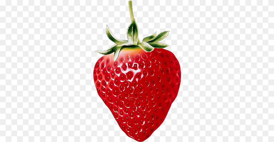 Berry Vector Acai Strawberry Clipart Background, Food, Fruit, Plant, Produce Free Transparent Png