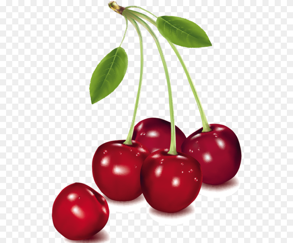 Berry Vector Cherry Fruit Cherry Fruits, Food, Plant, Produce Png Image