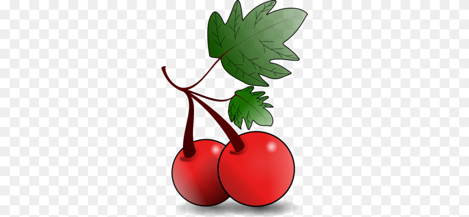 Berry Vector Clip Art, Cherry, Food, Fruit, Plant Free Png Download