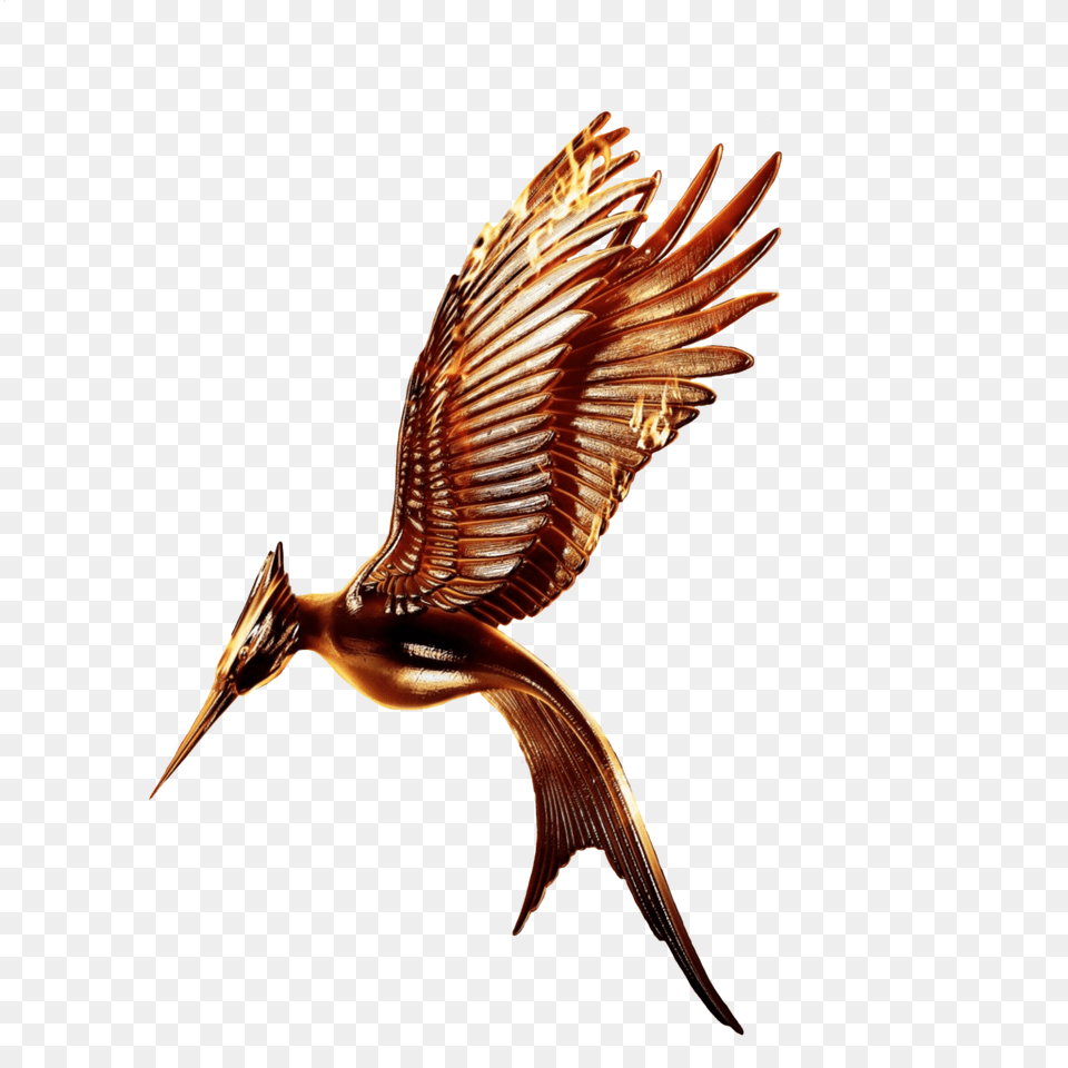 Best 15 Catching Fire Movie Logo Transparent Without Ring By Hunger Games Mockingjay Bird, Animal, Beak, Crane Bird, Waterfowl Free Png