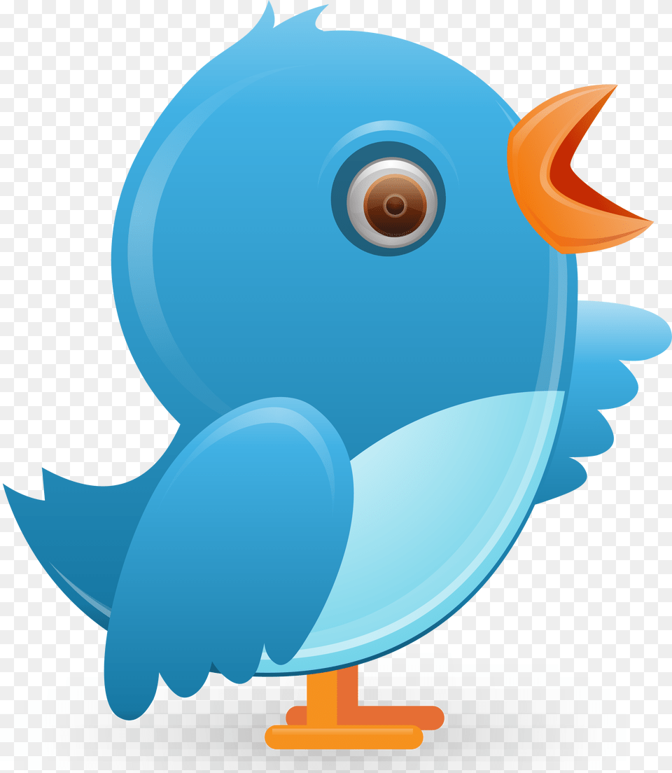Best 54 Twitter Background Clipart Twitter Cartoon, Animal, Bird, Jay, Disk Free Transparent Png