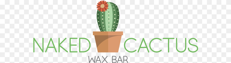 Best Brazilian Wax Flowerpot, Cactus, Plant Free Png Download
