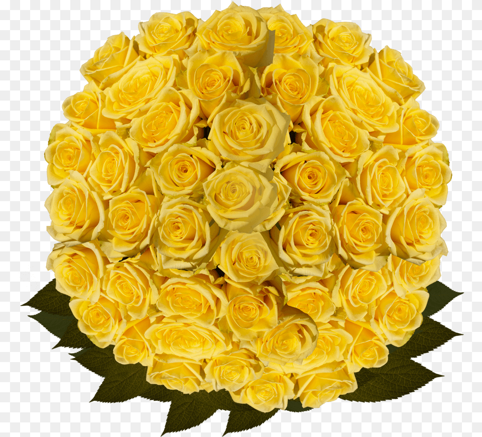 Best Bulk Yellow Roses Floribunda, Flower, Flower Arrangement, Flower Bouquet, Plant Free Png