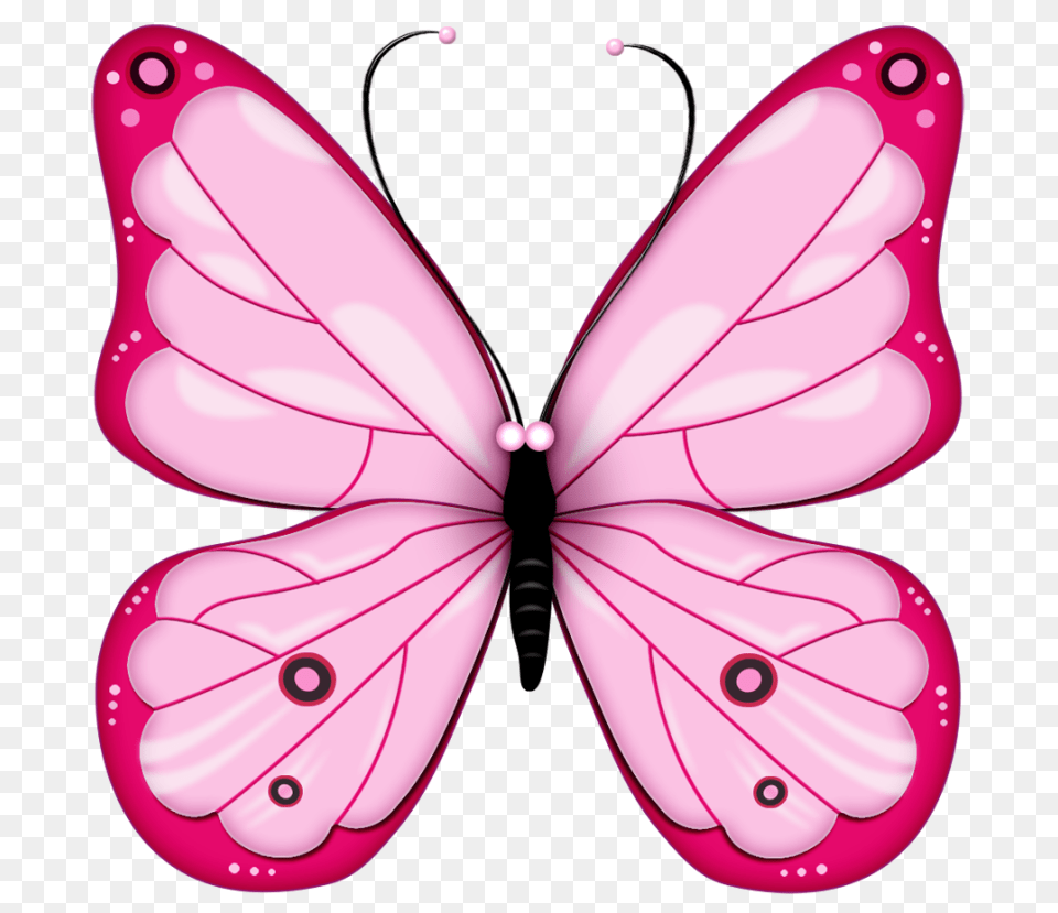 Best Butterfly Clipart, Animal, Insect, Invertebrate Free Png Download