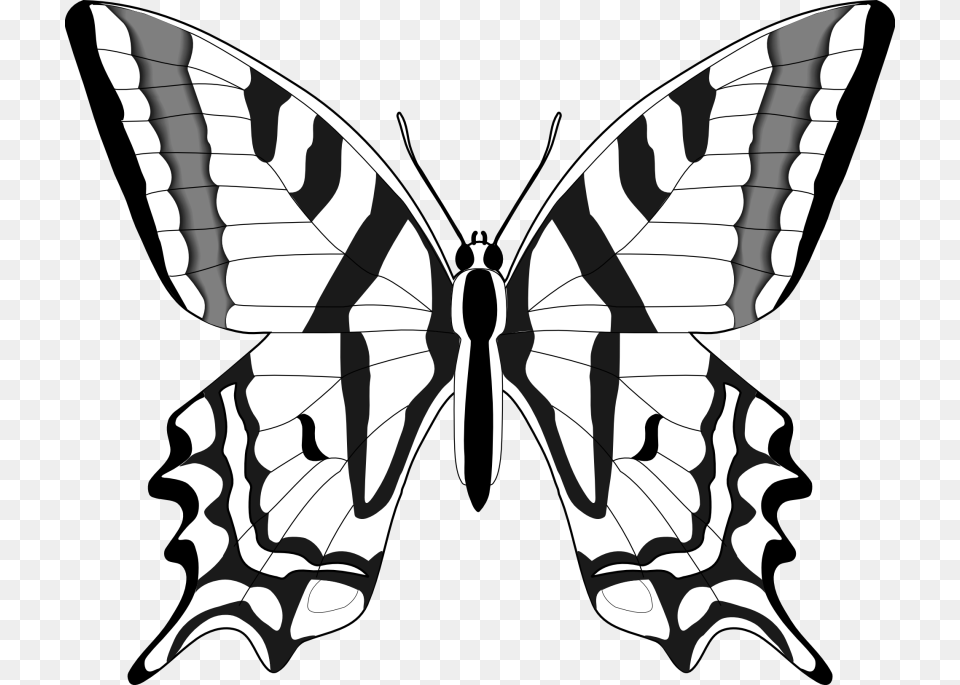 Best Butterfly Clipart Black And White, Stencil Free Png