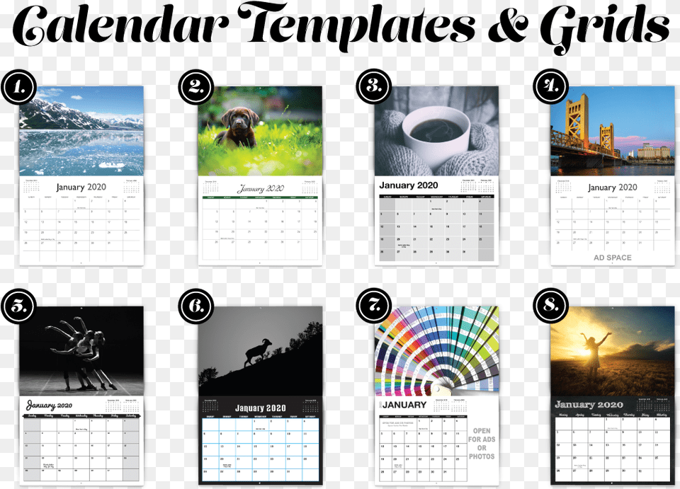 Best Calendar Design 2020, Text, Pet, Person, Mammal Free Png