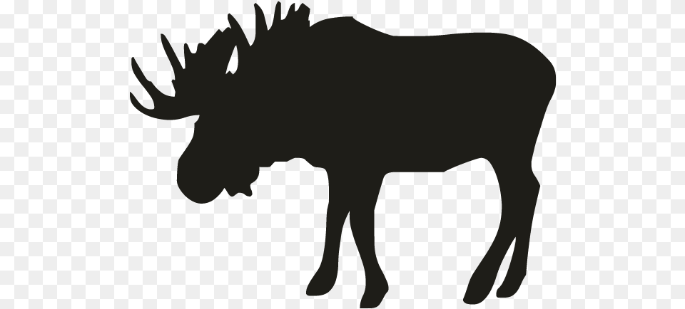 Best Canadian Street Sign, Animal, Mammal, Moose, Wildlife Png Image