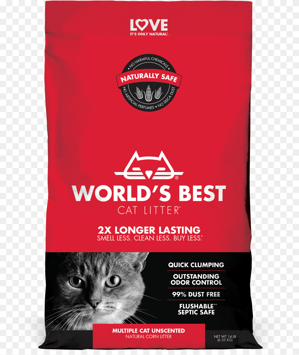 Best Cat Litter Natural For Cats U0026 Kittens Best Cat Litter, Advertisement, Poster, Animal, Mammal Free Png Download