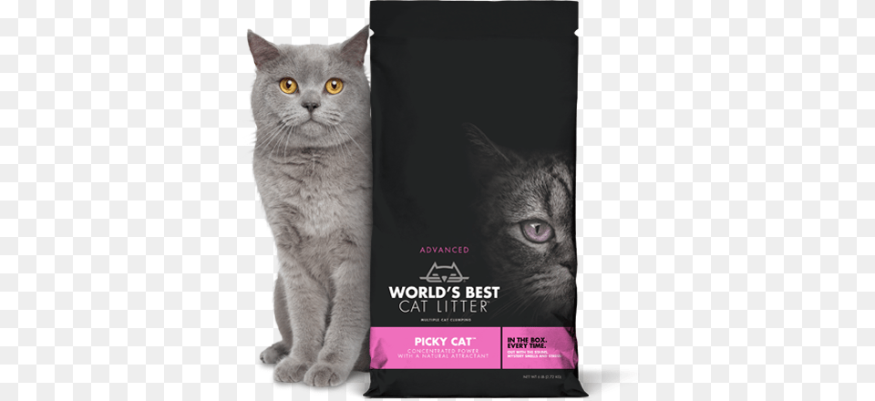Best Cat Litter Picky Cat Litter World39s Best Cat Litter Picky Cat, Advertisement, Poster, Animal, Mammal Png Image