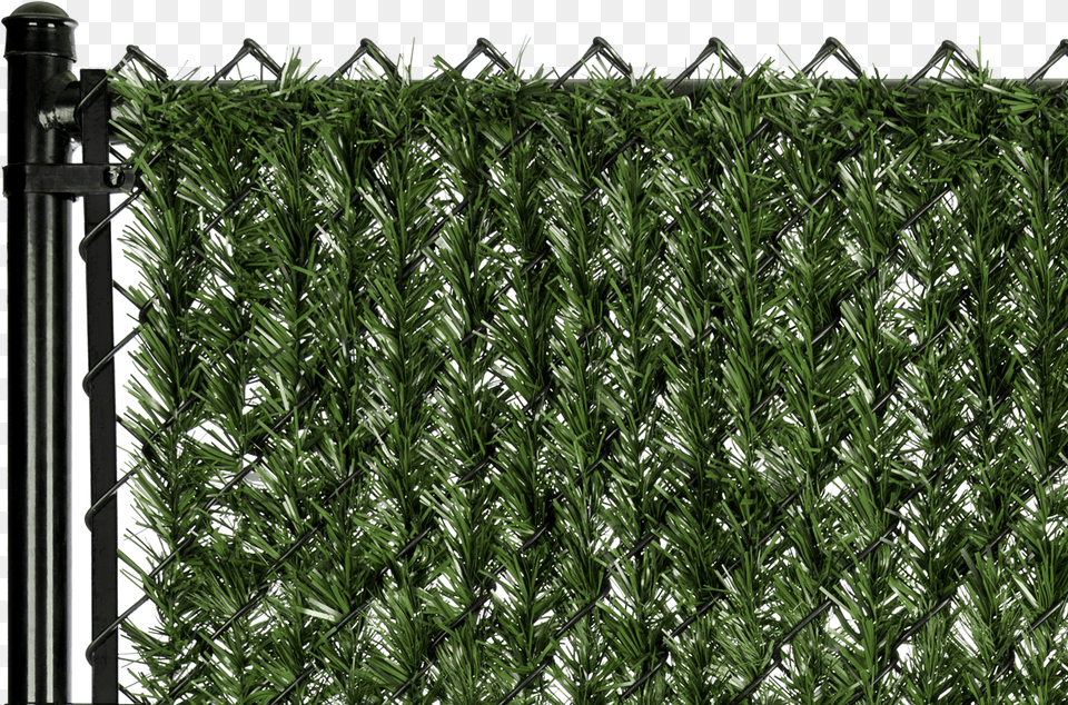 Best Chain Link Fence Slats, Plant, Tree Png