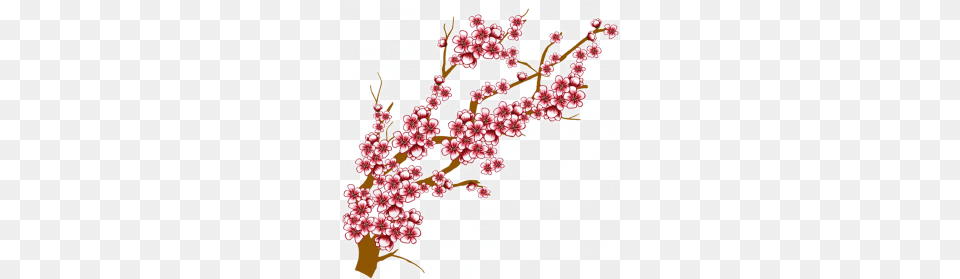 Best Cherry Blossom, Flower, Plant, Cherry Blossom, Food Free Png