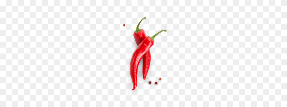 Best Chili Transparent Best Chili Images, Food, Produce, Pepper, Plant Png Image