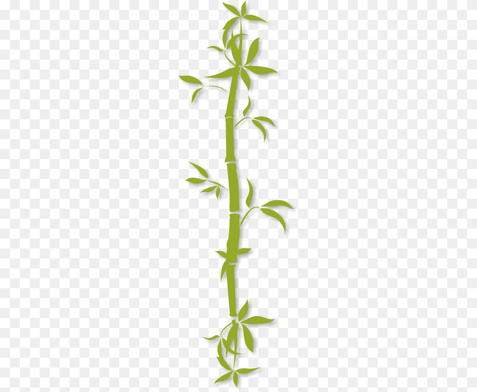 Best Clipart Clip Art Bamboo, Plant, Tree Png Image