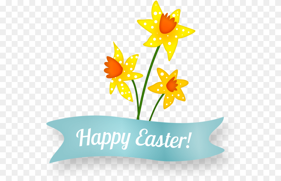 Best Coast, Daffodil, Flower, Plant Png Image