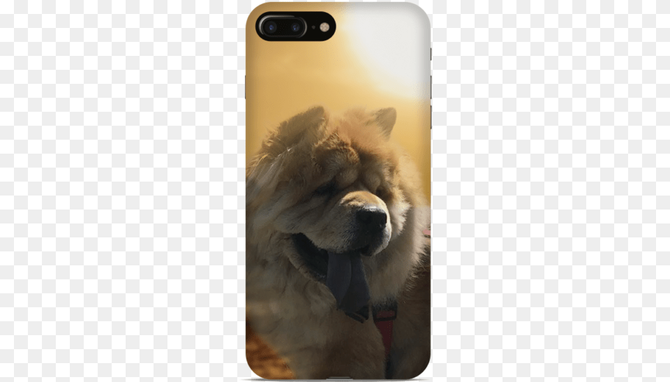 Best Customized Zara The Chow Phone Cover Stallion, Animal, Canine, Mammal, Pet Free Png