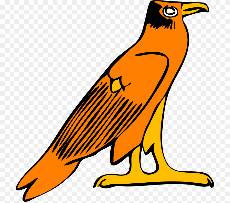 Best Falcon Clip Art, Animal, Beak, Bird, Vulture Png Image