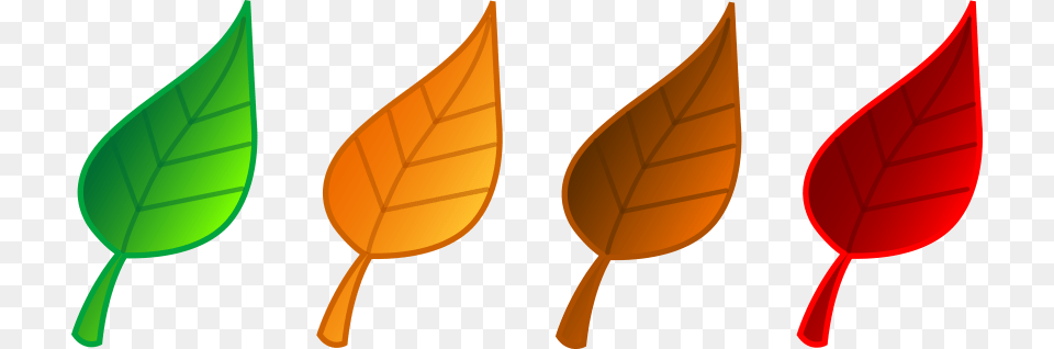 Best Fall Leaves Clip Art, Leaf, Plant Png