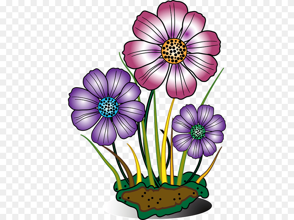 Best Flower Download, Anemone, Plant, Daisy, Anther Png Image