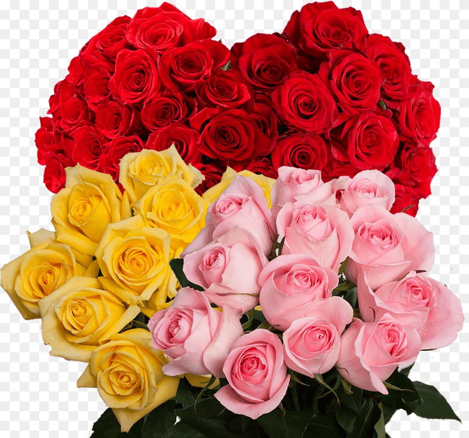 Best Flowers For Birthday Beautiful Rose Color, Flower, Flower Arrangement, Flower Bouquet, Plant Free Png