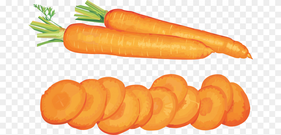 Best Free Carrot Icon Vegetables Clip Art, Food, Plant, Produce, Vegetable Png