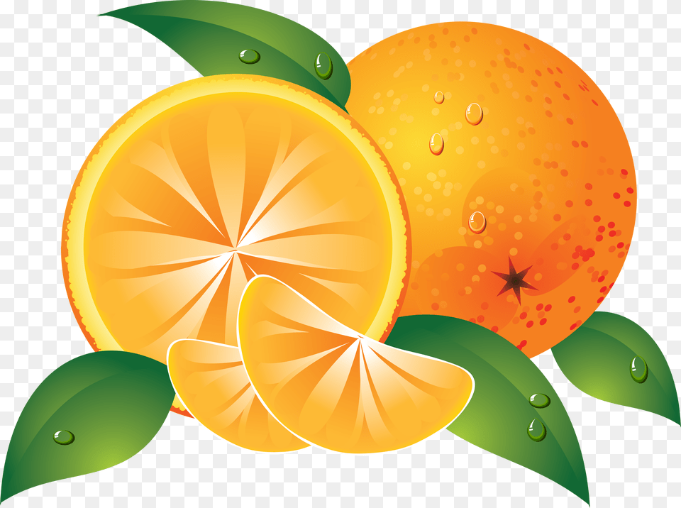 Best Orange Transparent Image Fruit Clip Art Orange, Grapefruit, Citrus Fruit, Food, Produce Free Png