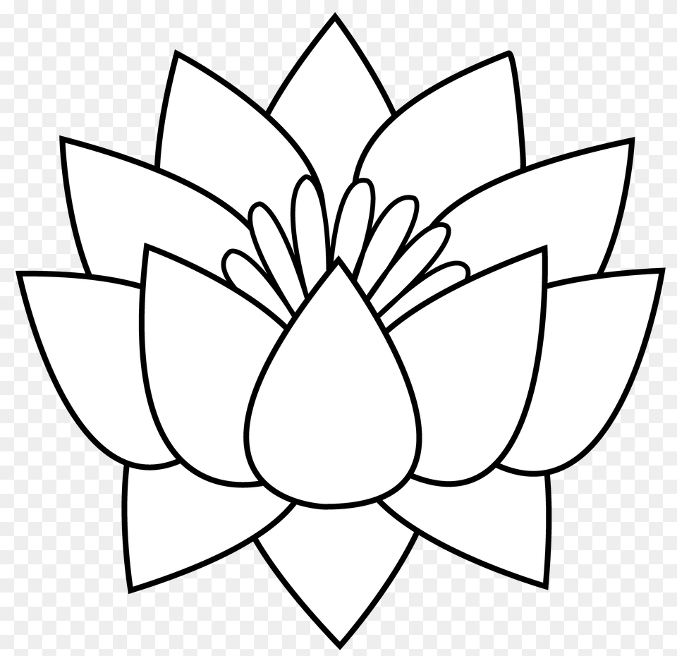 Best White Lotus Graphic Art Wallpapers, Flower, Plant, Dahlia, Lily Free Png Download