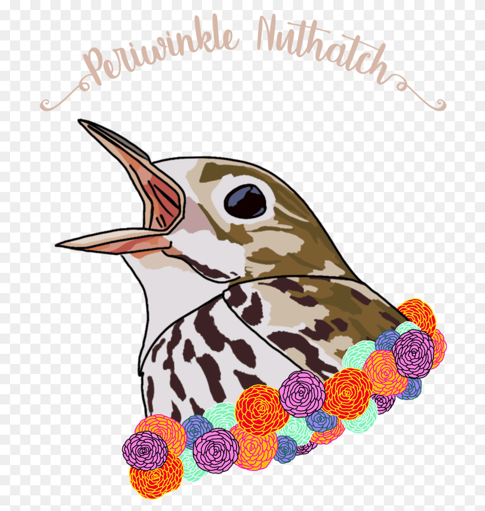 Best Friends Animals One Wilderness Periwinkle Nuthatch, Animal, Beak, Bird, Anthus Free Png Download