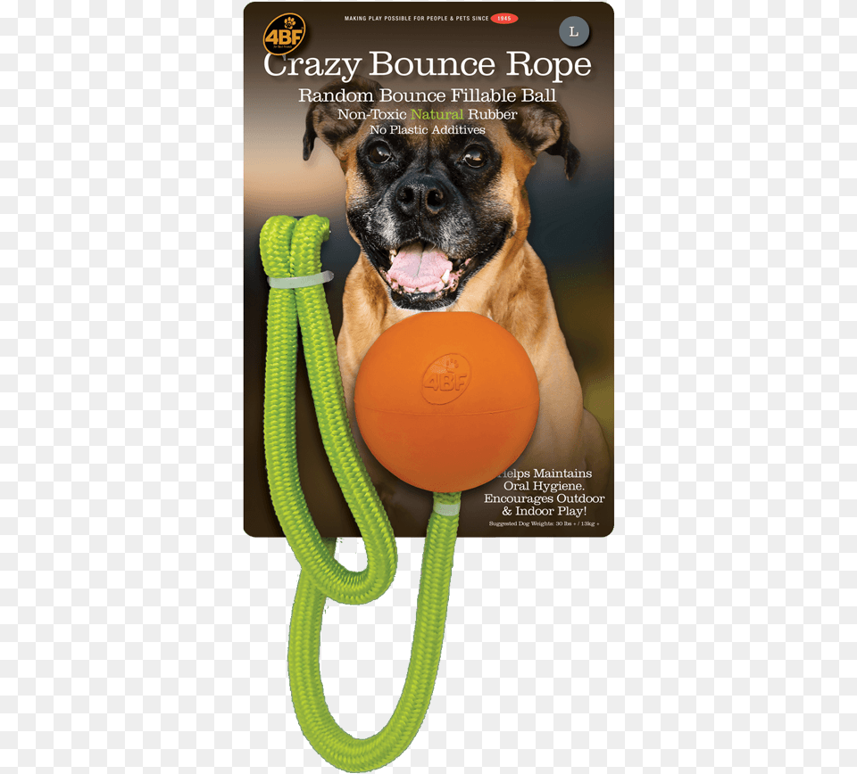 Best Friends Natural Rubber Pet Toys Dog Catches Something, Accessories, Mammal, Canine, Bulldog Free Transparent Png