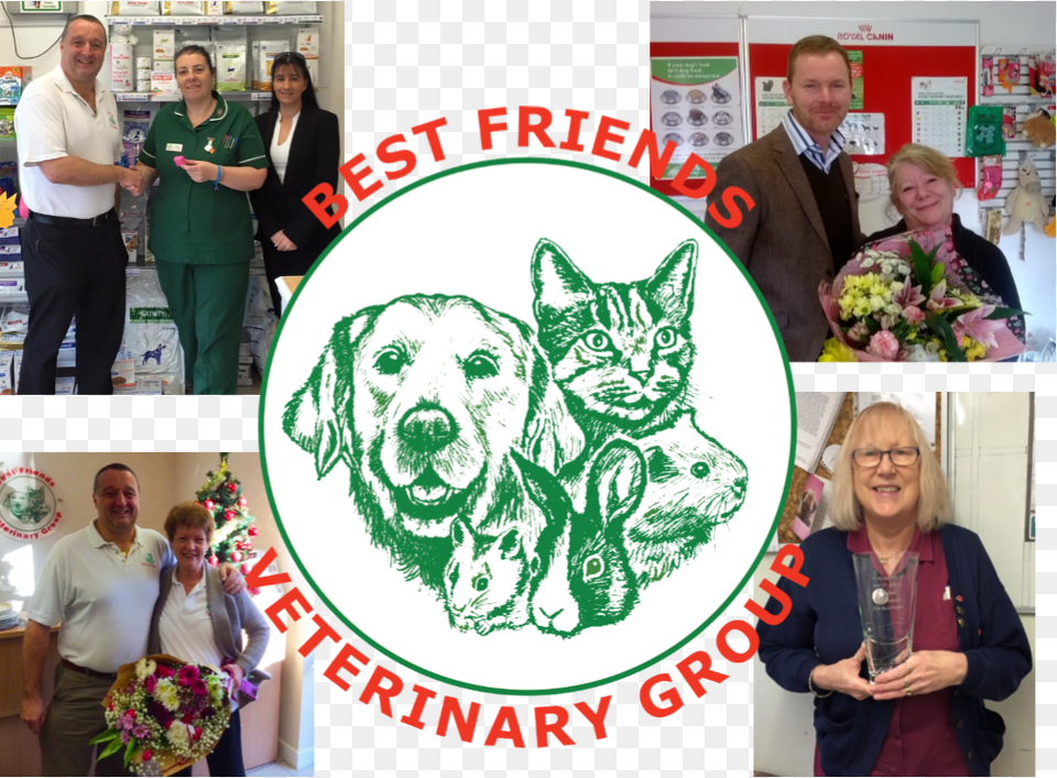 Best Friends Veterinary Group Honours Long Service Best Friends Vets Shenfield, Woman, Graphics, Flower Bouquet, Flower Arrangement Free Transparent Png
