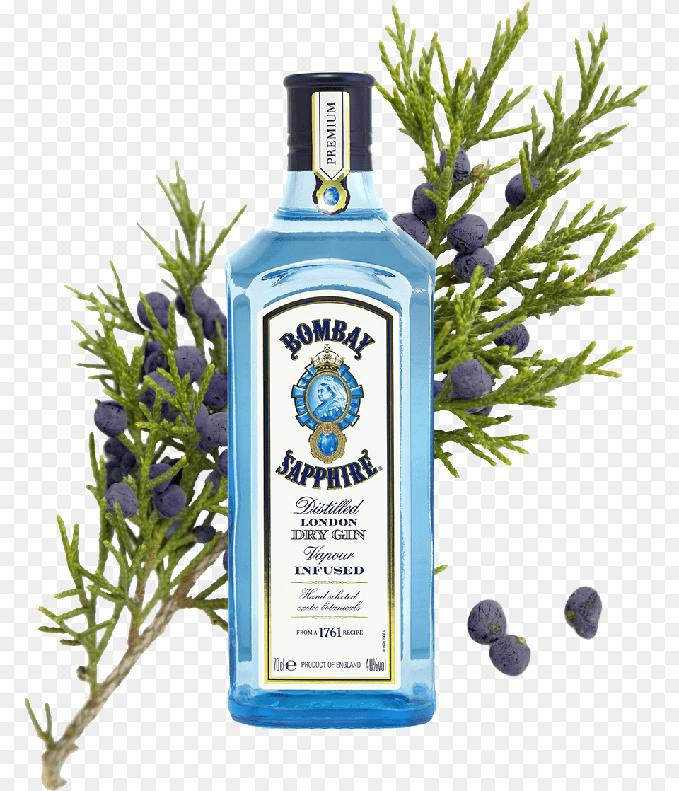 Best Gin Brands 2020 Bombay Sapphire Gin, Alcohol, Beverage, Liquor, Bottle Free Png