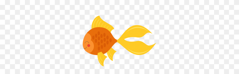 Best Goldfish Clipart, Animal, Sea Life, Fish Free Png