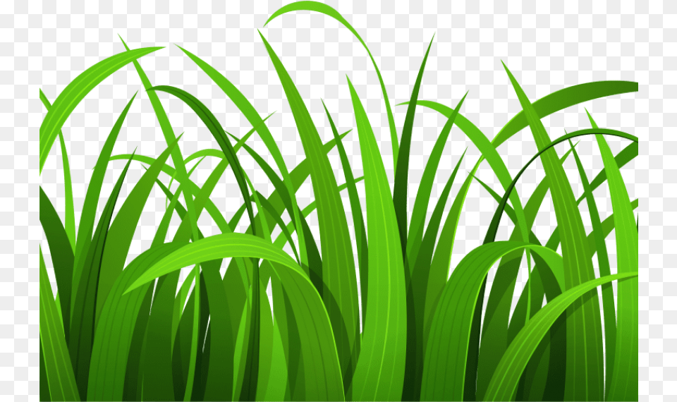 Best Grass Clipart Grass Clipart, Green, Plant, Vegetation, Lawn Free Transparent Png