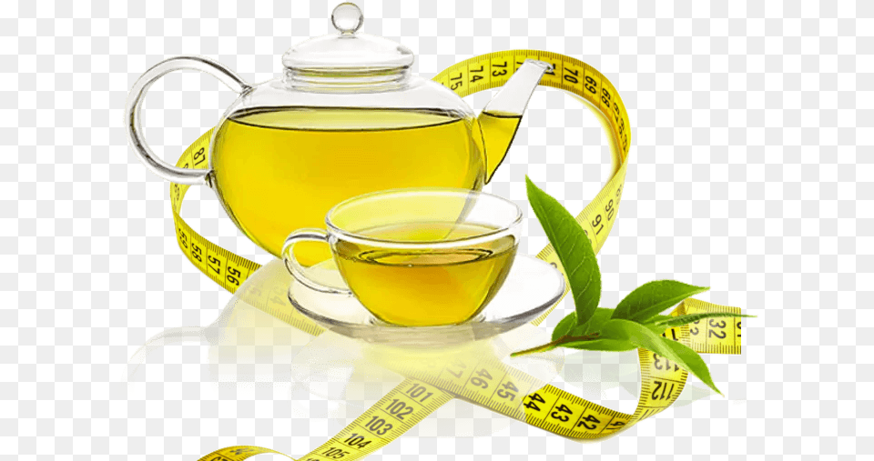 Best Green Tea In India Brands Weight Loss Epigallocatechin Gallate Egcg, Beverage, Cup, Green Tea, Pottery Png Image