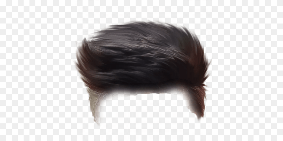 Best Hair Full Hd Transparent Images Hair Style Hd, Animal, Mammal, Rat, Rodent Free Png Download