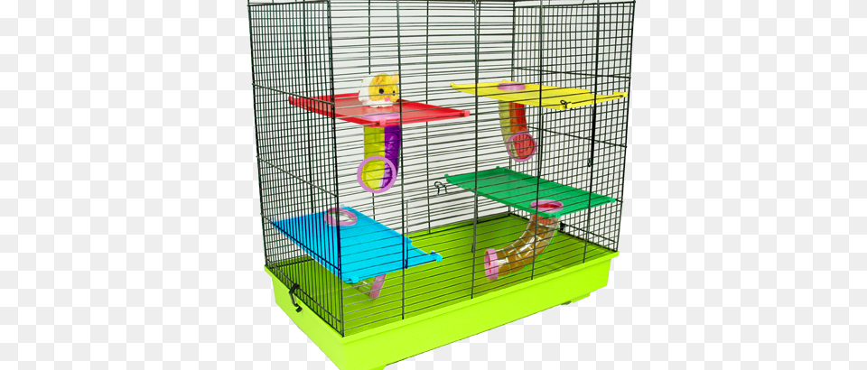 Best Hamster Cage, Racket, Sport, Tennis, Tennis Racket Free Png Download