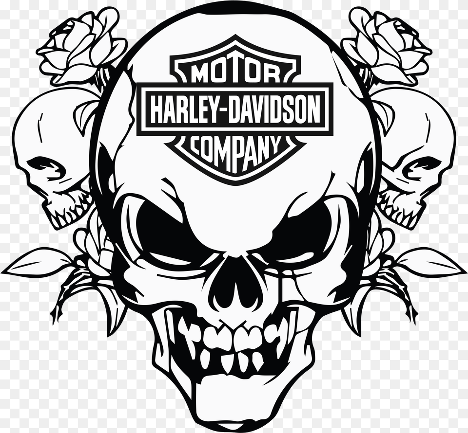 Best Harley Davidson Images Harley Davidson Skull Logo, Stencil, Baby, Person, Face Free Png