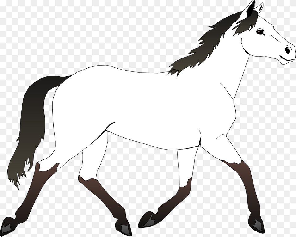 Best Horse Clipart Black And White, Animal, Mammal, Colt Horse Free Transparent Png