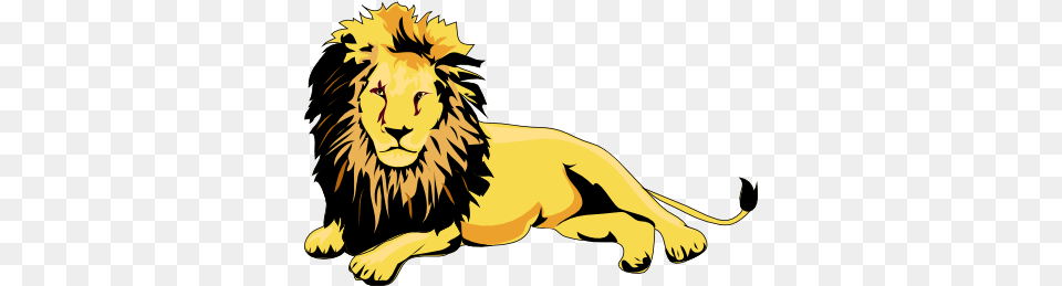 Best Lion Clipart, Animal, Mammal, Wildlife, Face Free Png