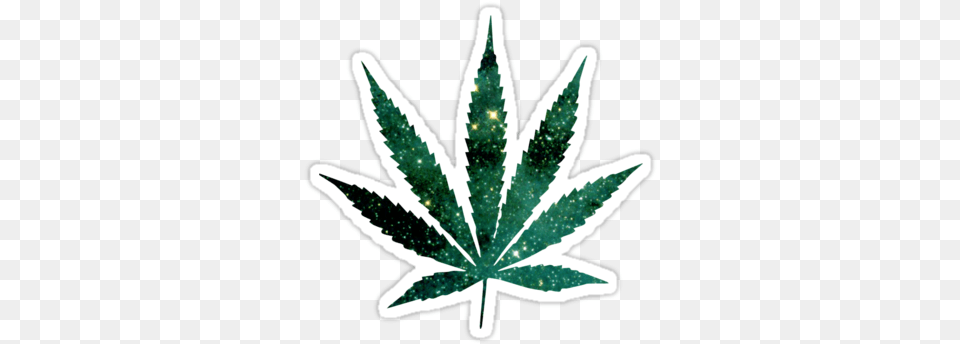 Best Marijuana Leaf Transparent Background The Gallery Pink Pot Leaf, Plant, Animal, Fish, Sea Life Png Image
