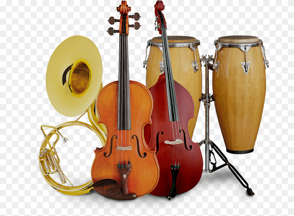 Best Musical Instrument Supplier In Philippines Musicians Instruments, Musical Instrument, Violin, Drum, Percussion Png Image