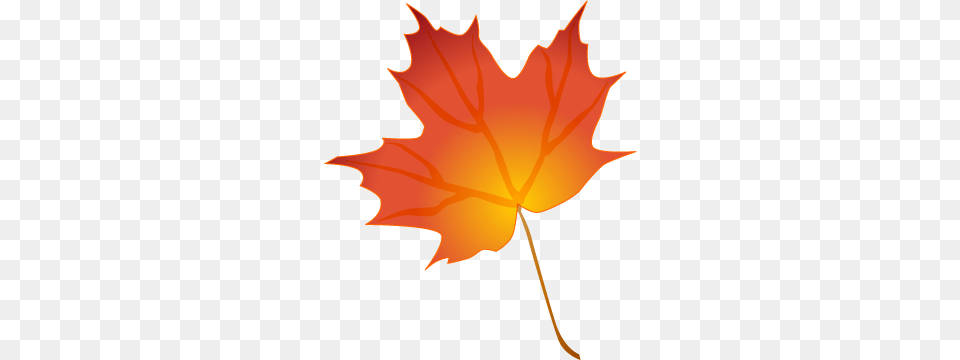 Best Of Fall Leaves Images Clip Art Autumn Leaves Blowing, Leaf, Maple Leaf, Plant, Tree Png Image