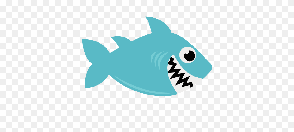 Best Of Twitter Icon Transparent Background Cartoon Shark Transparent Background, Animal, Fish, Sea Life, Tuna Png
